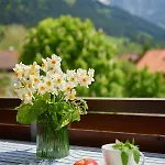 Апартаменты Hornblick Fewo- Ab Mai Freie Fahrt Mit Bergbahnen *
