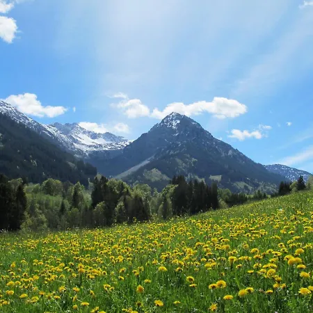 Apartman Hornblick Fewo- Ab Mai Freie Fahrt Mit Bergbahnen