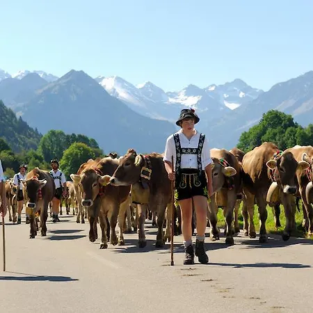 Hornblick Fewo- Ab Mai Freie Fahrt Mit Bergbahnen *