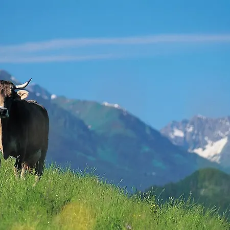 Apartment Hornblick Fewo- Ab Mai Freie Fahrt Mit Bergbahnen Oberstdorf