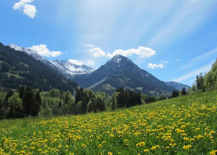 Lägenhet Hornblick Fewo- Ab Mai Freie Fahrt Mit Bergbahnen