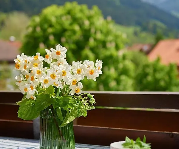 Apartament Hornblick Fewo- Ab Mai Freie Fahrt Mit Bergbahnen *