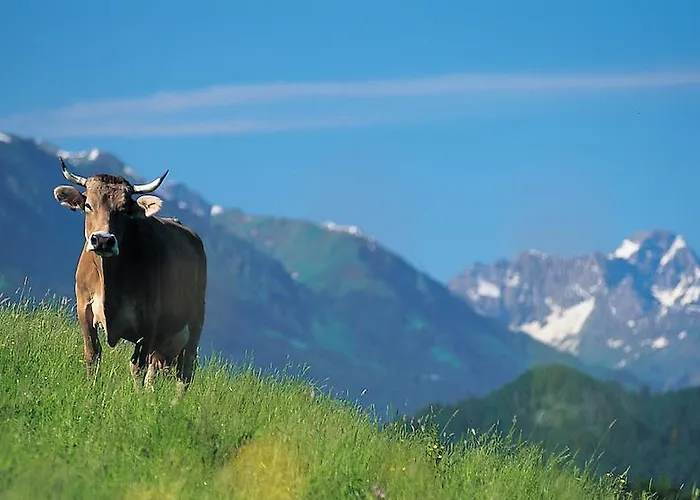 Daire Hornblick Fewo- Ab Mai Freie Fahrt Mit Bergbahnen Oberstdorf